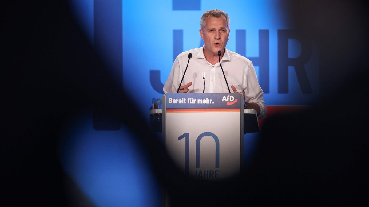 Petr Bystron: EU-Parlament will Immunität wegen Hitlergruß-Montage aufheben