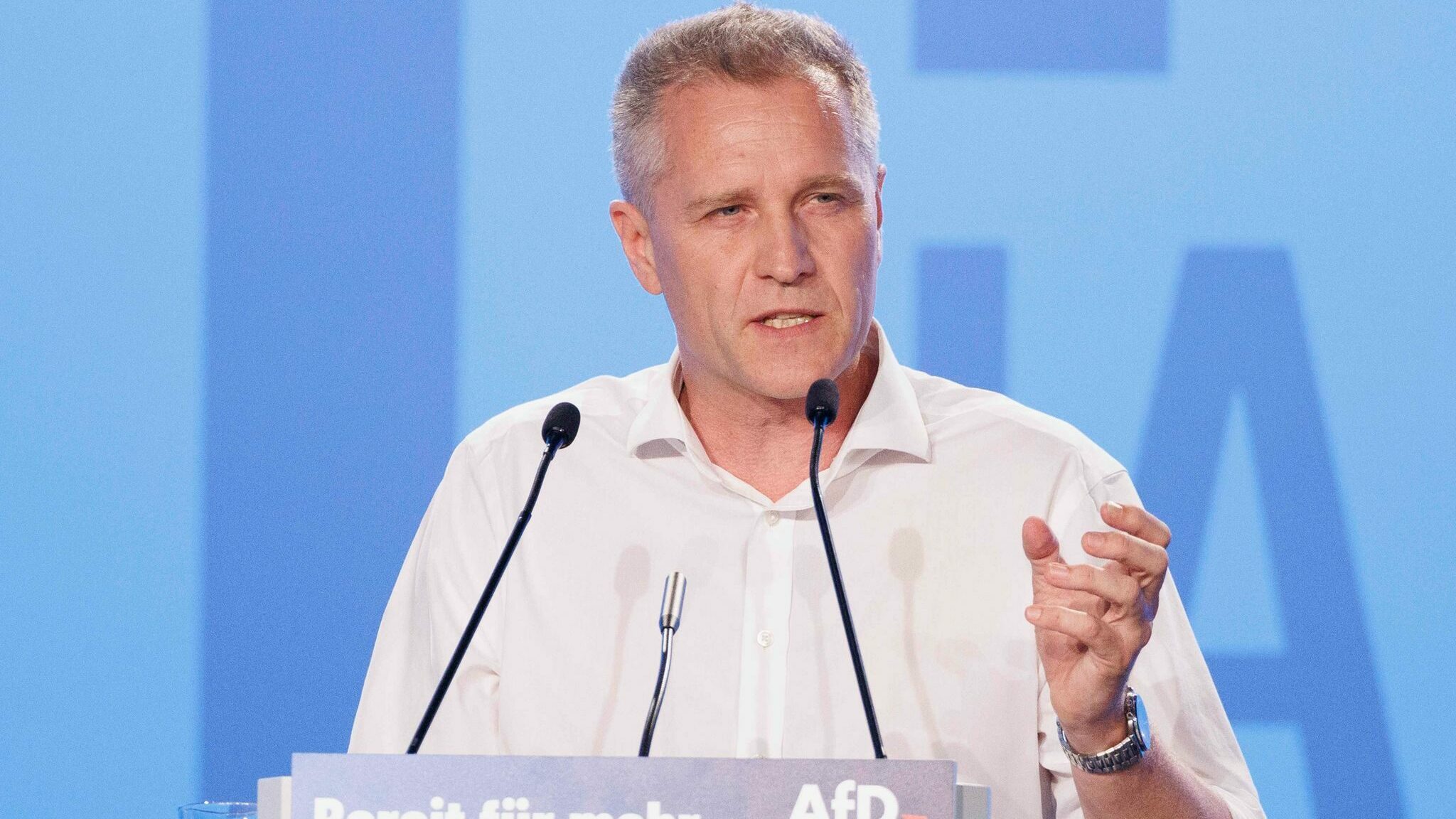 Nach Krah: Petr Bystron verzichtet auf Wahlkampfauftritte zur Europawahl