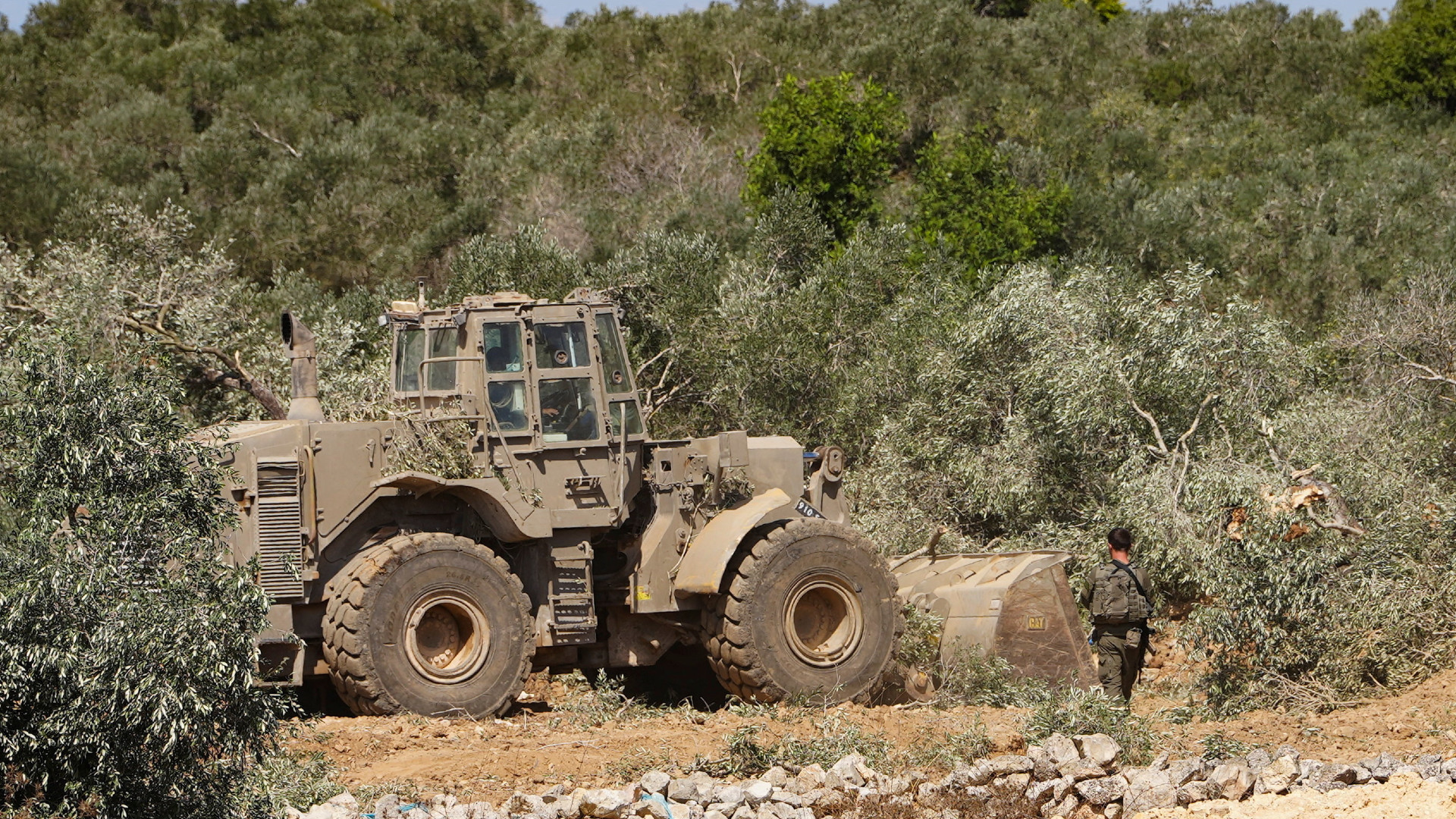As olive harvest nears, Palestinian farmers urgently need international protection