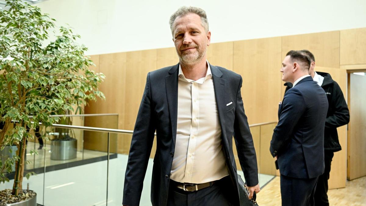 Aufhebung der Immunität von AfD-Mann Bystron beantragt
