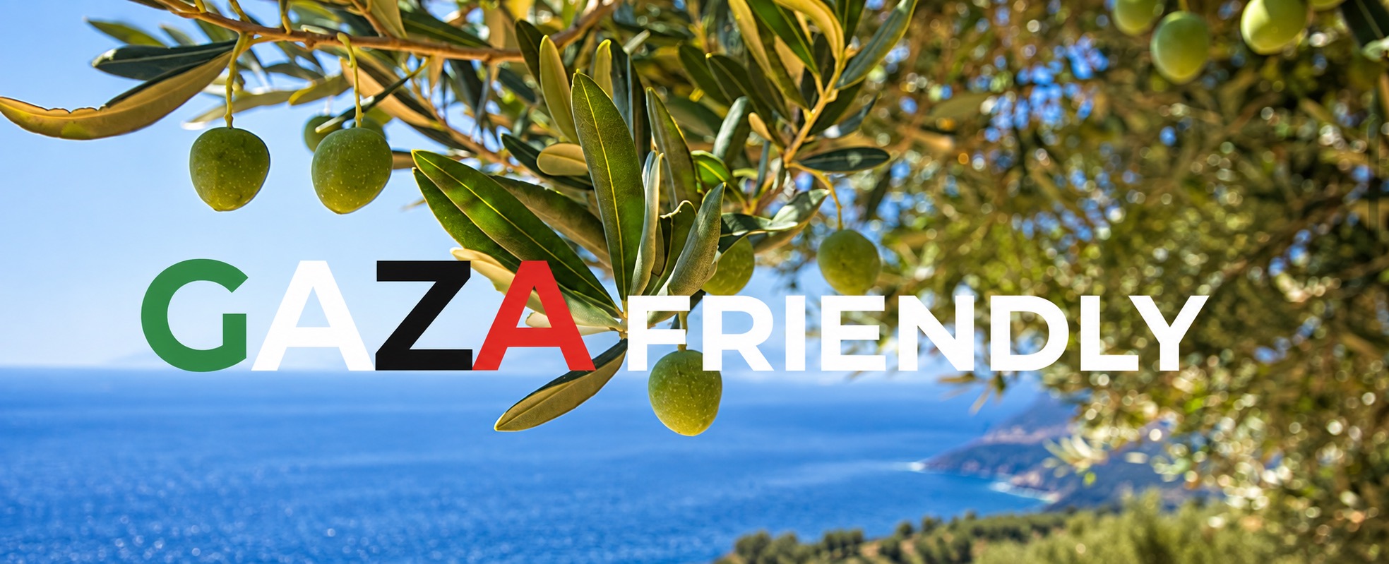 Gaza Friendly: the French label turning consumer choices into Palestine solidarity