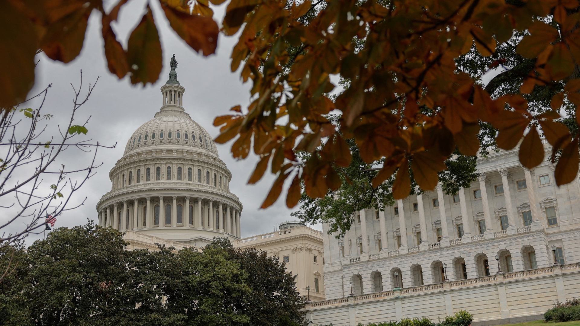 US elections: Races to watch in the 2026 midterms